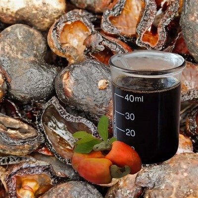 Kaju Fıstığı Kabuğu Atıkları-Yakıta-Gönderiliyor